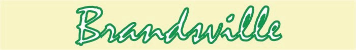 Brandsville-Logo